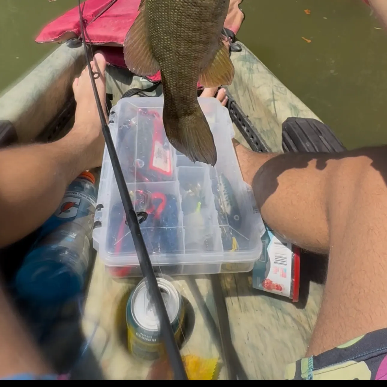 Smallmouth bass caught on Fishbrain