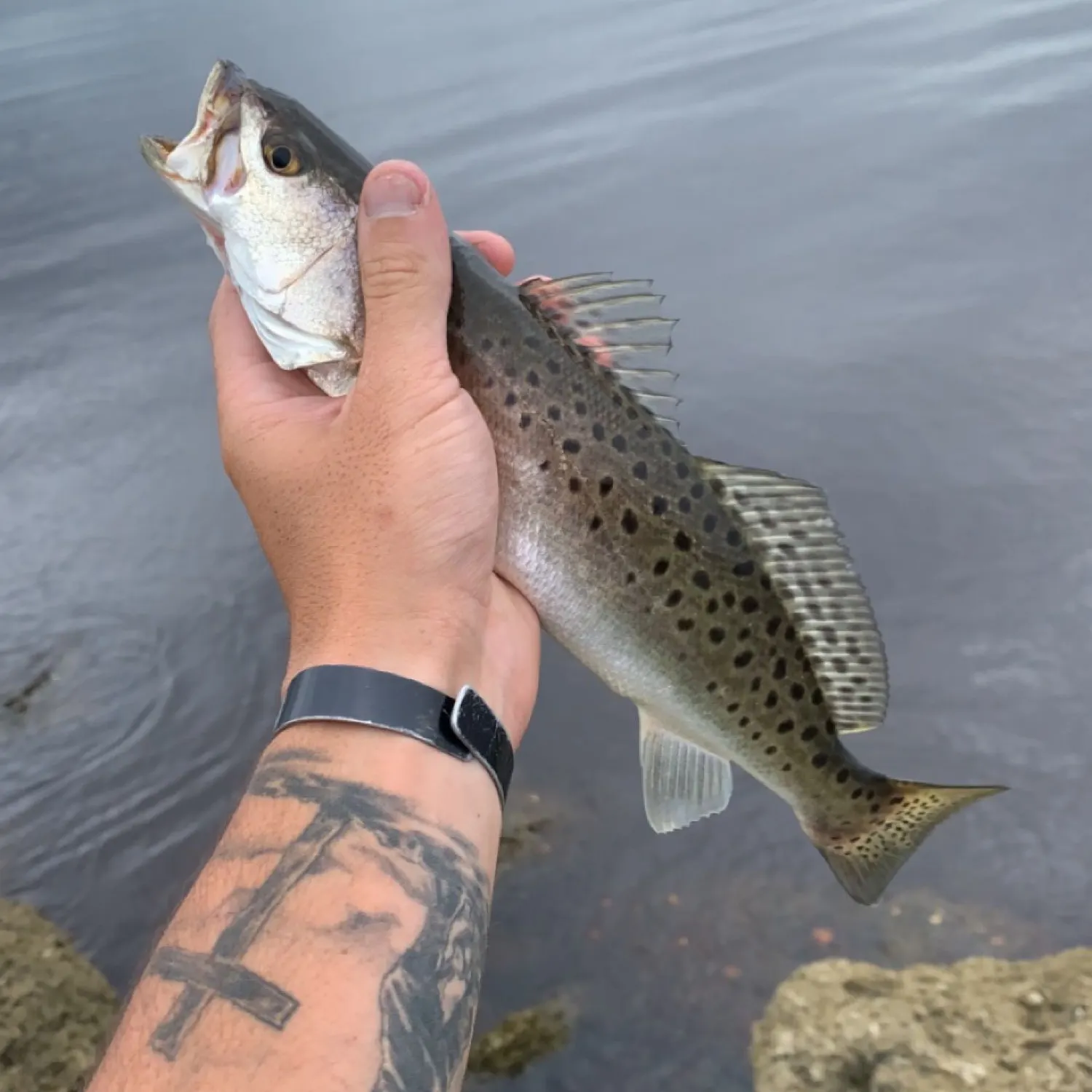 angler catch