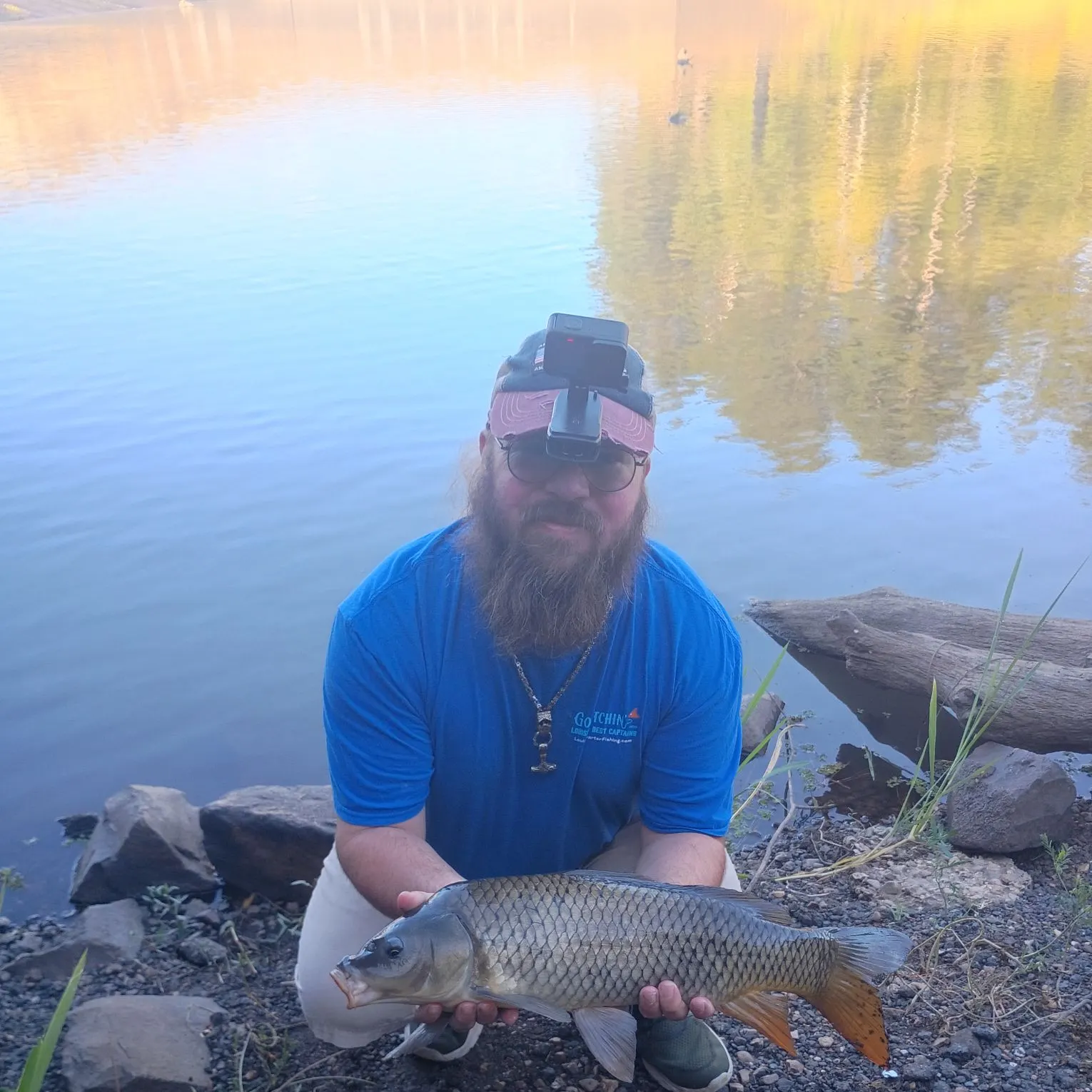 Common carp caught on Fishbrain