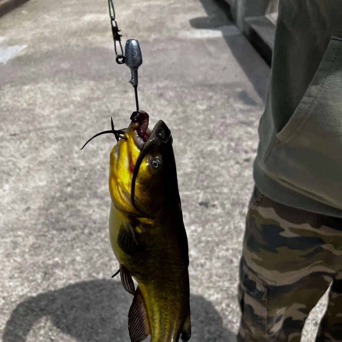 catch