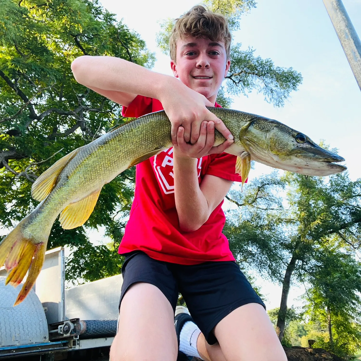 The most recent Silver pike catches on Fishbrain