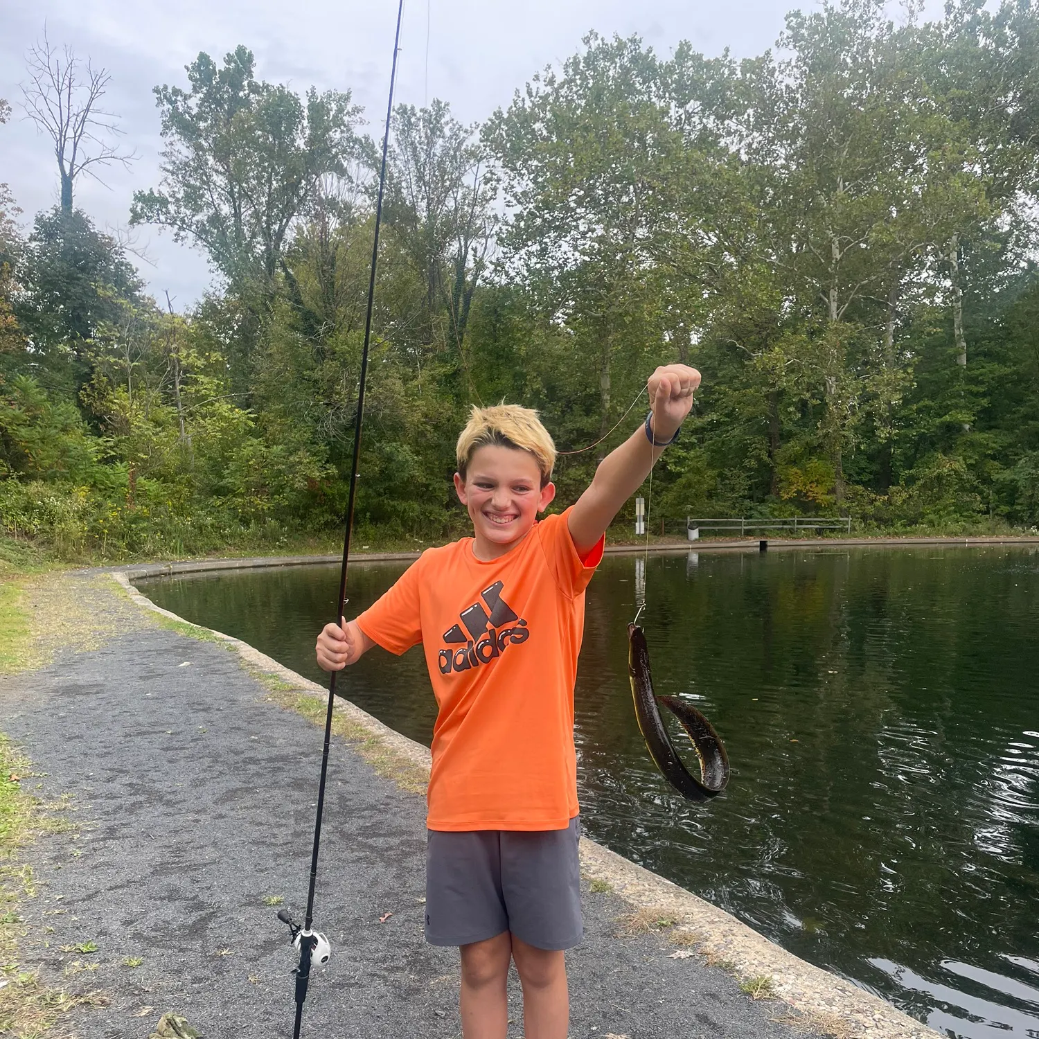 The most recent American eel catches on Fishbrain