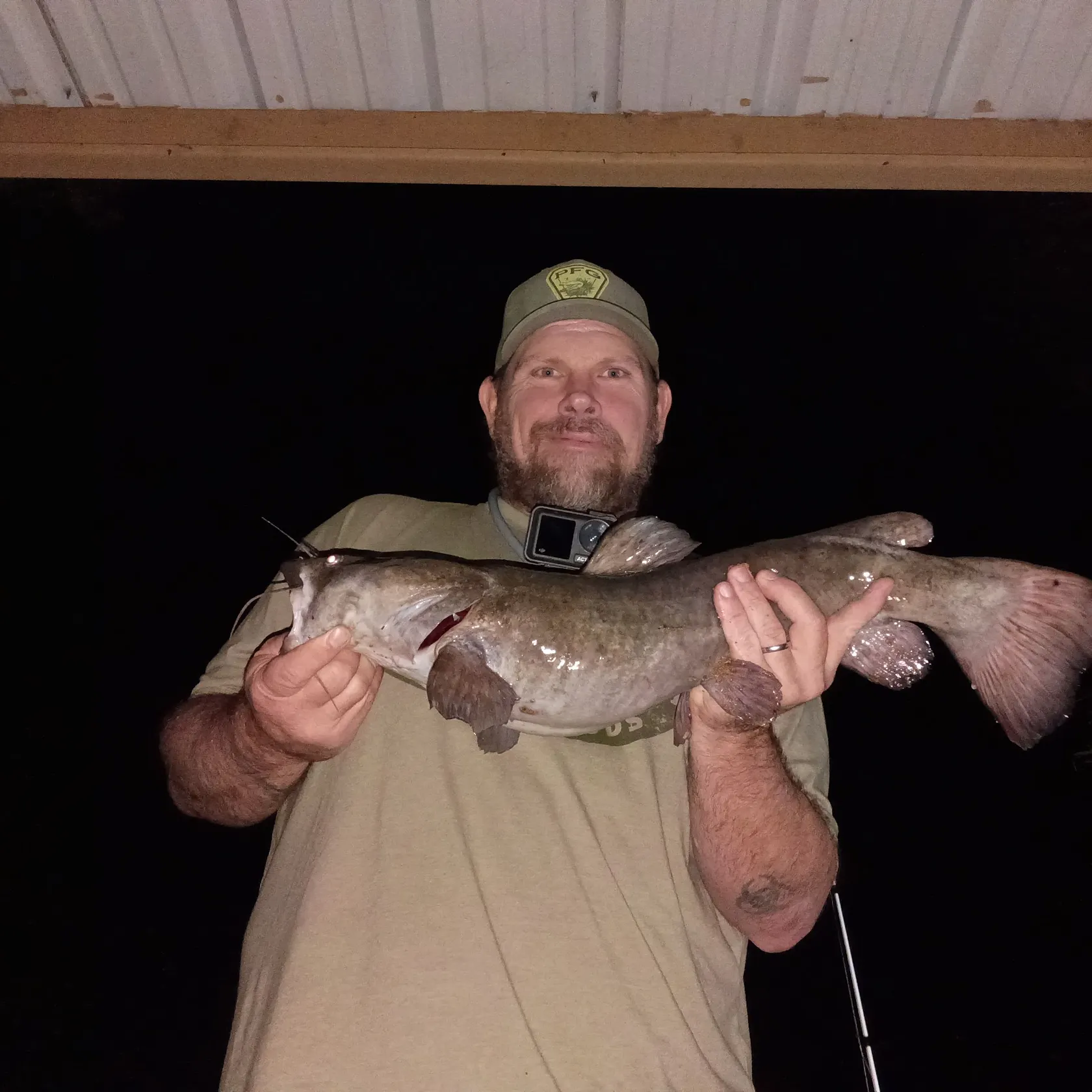 Flathead catfish caught on Fishbrain