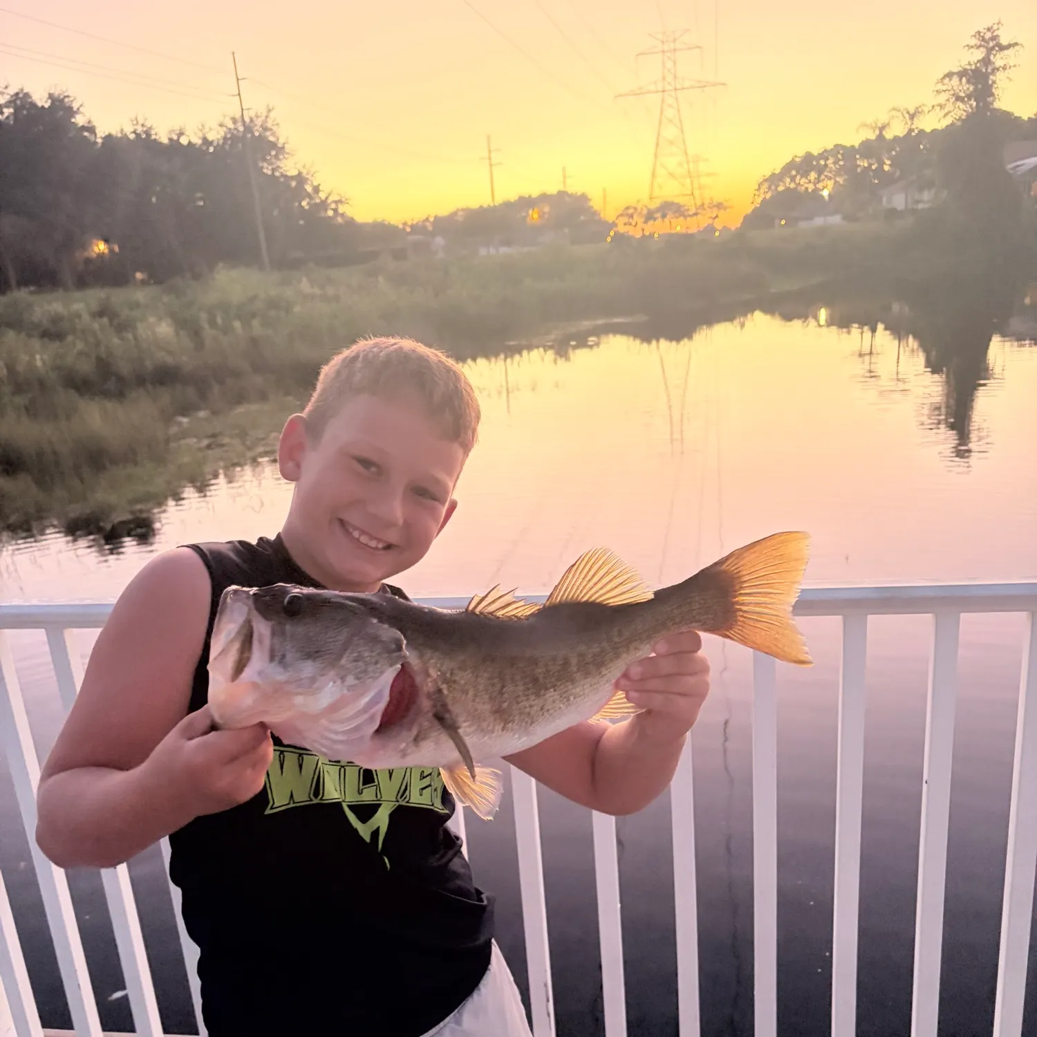 Largemouth bass caught on Fishbrain