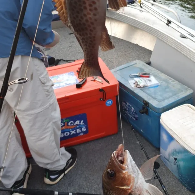Fish caught on Fishbrain