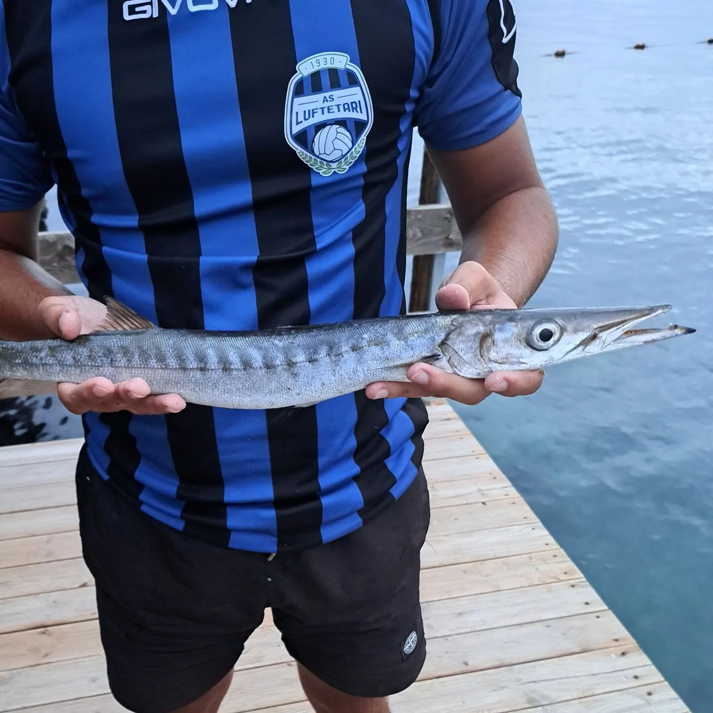 The most recent European barracuda catches on Fishbrain