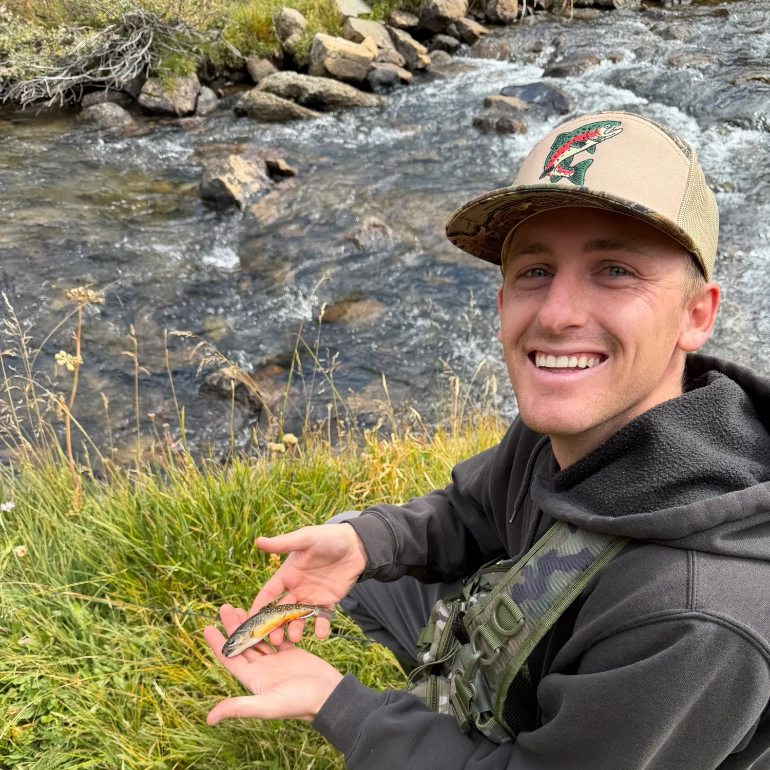 Brook trout caught on Fishbrain