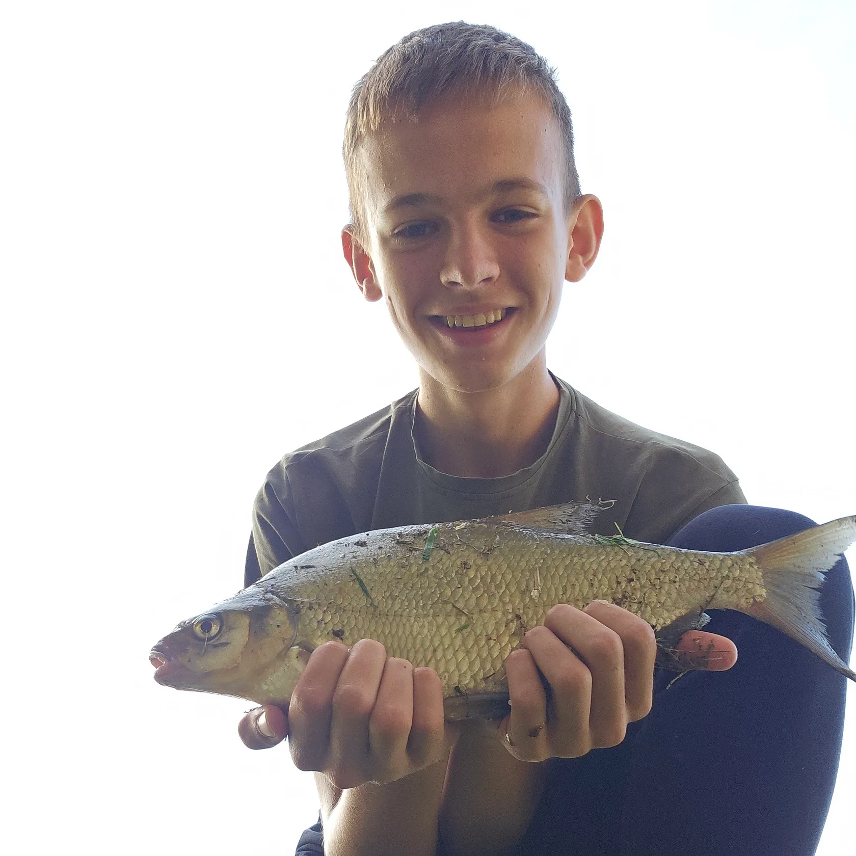 Common bream caught on Fishbrain