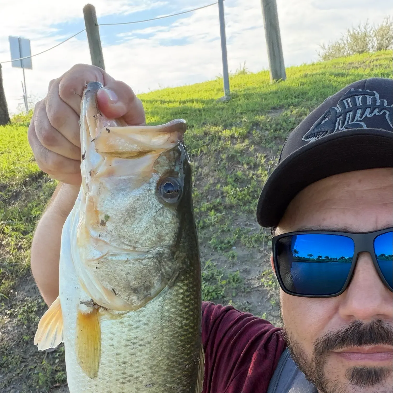 Largemouth bass caught on Fishbrain