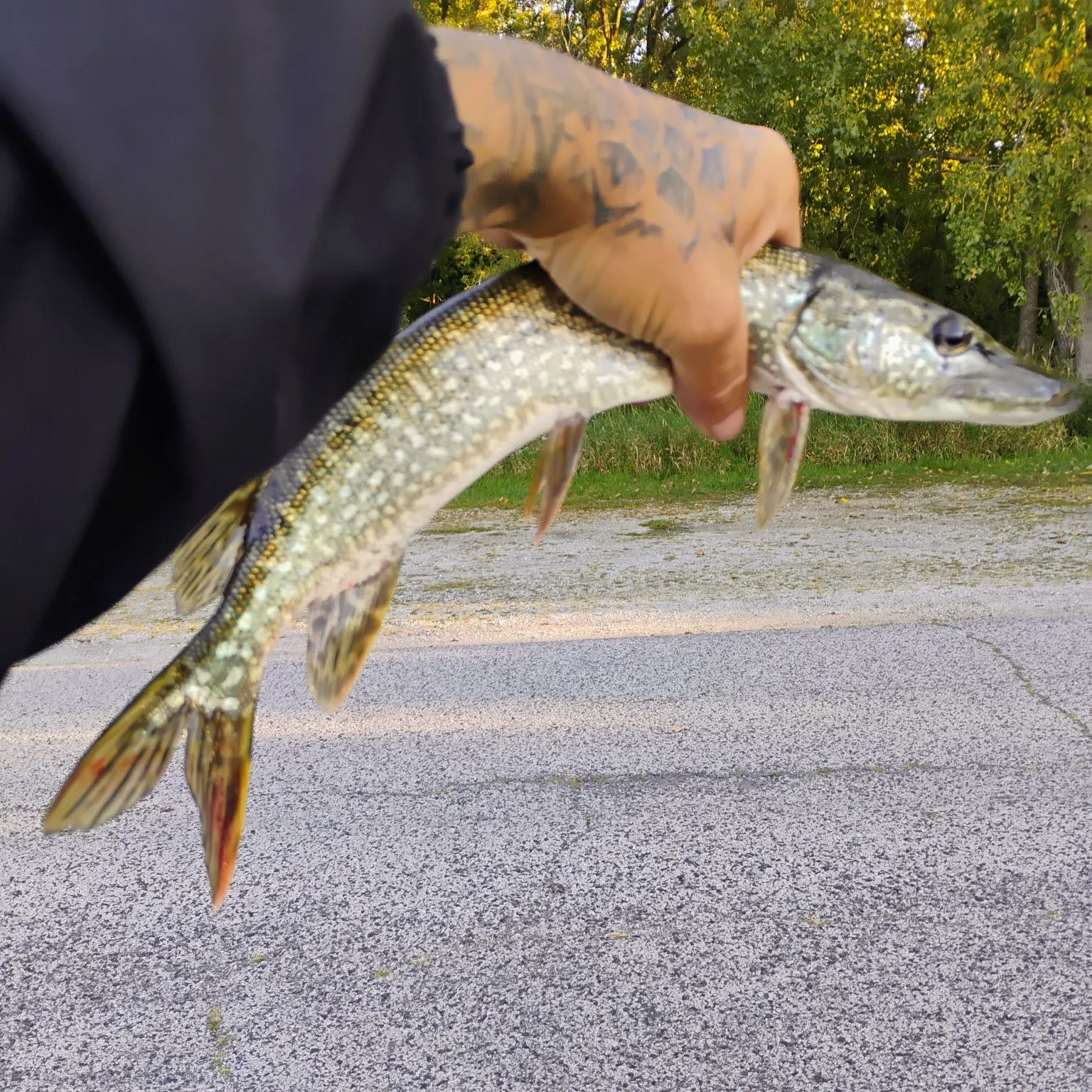 catch