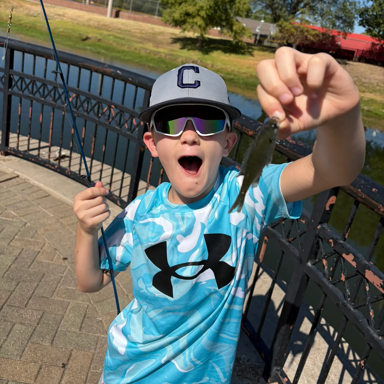Bluegill caught on Fishbrain
