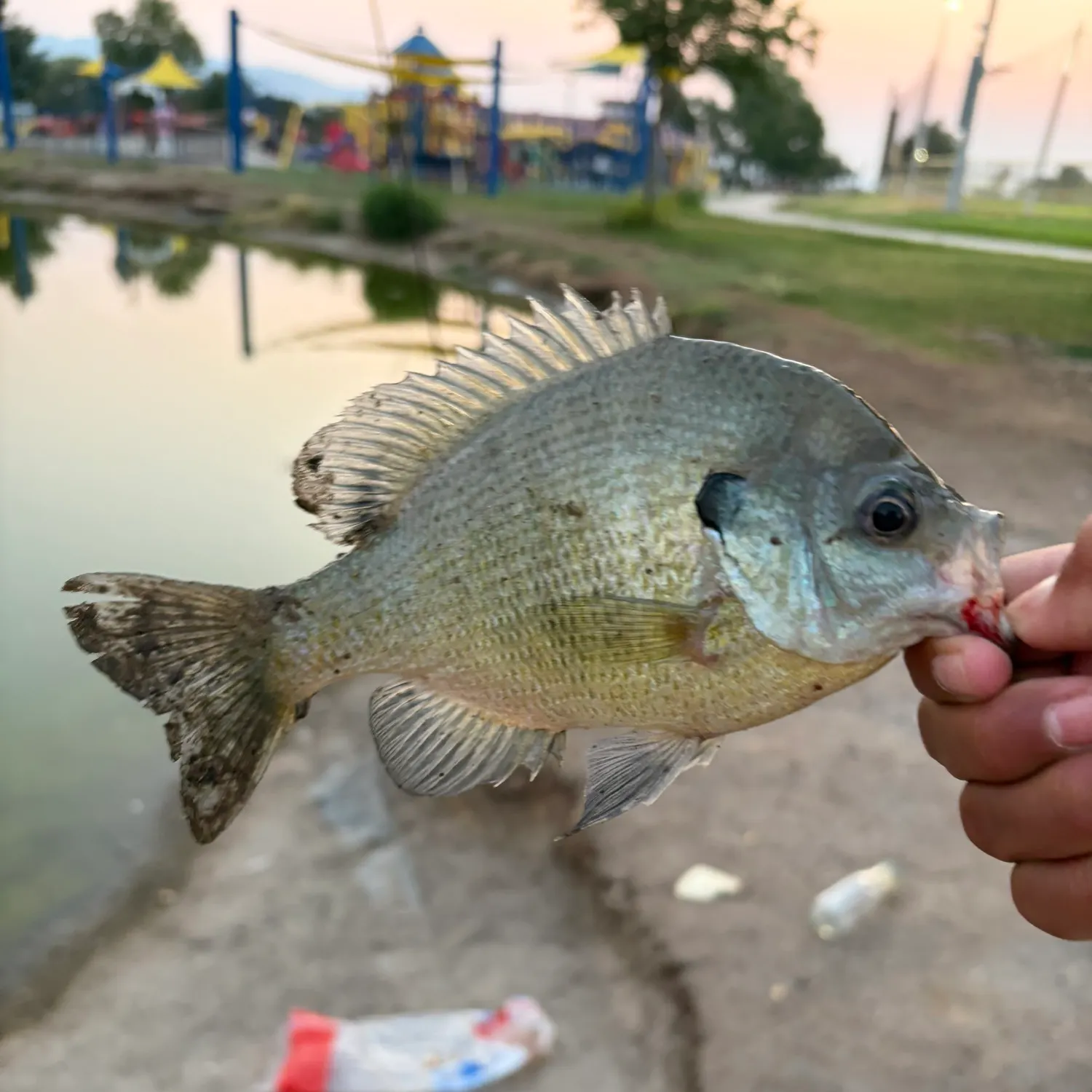catch