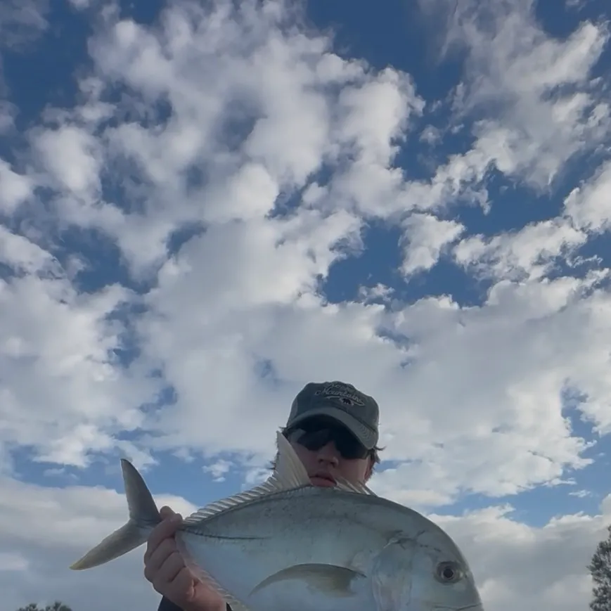 The most recent Giant trevally catches on Fishbrain