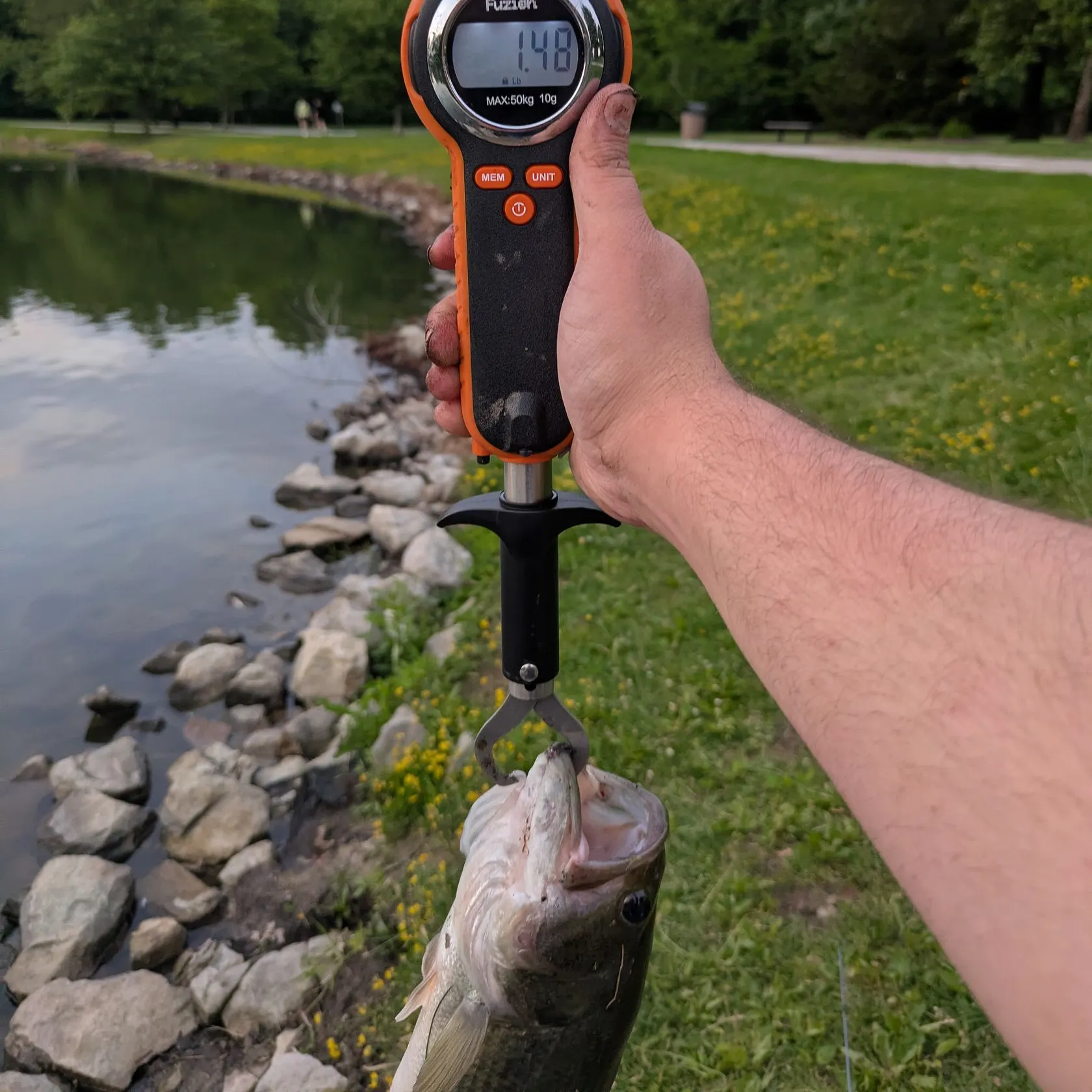 catch