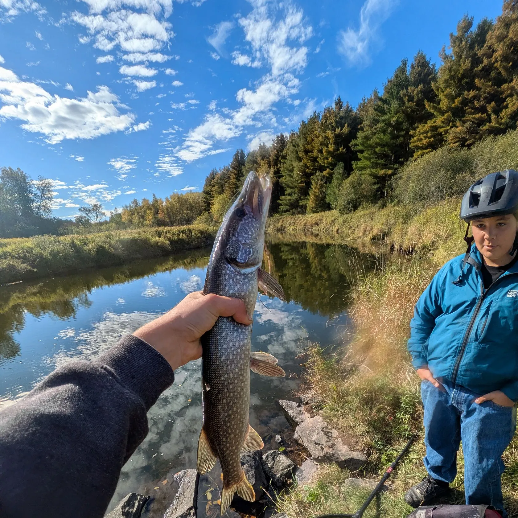 Northern pike caught on Fishbrain