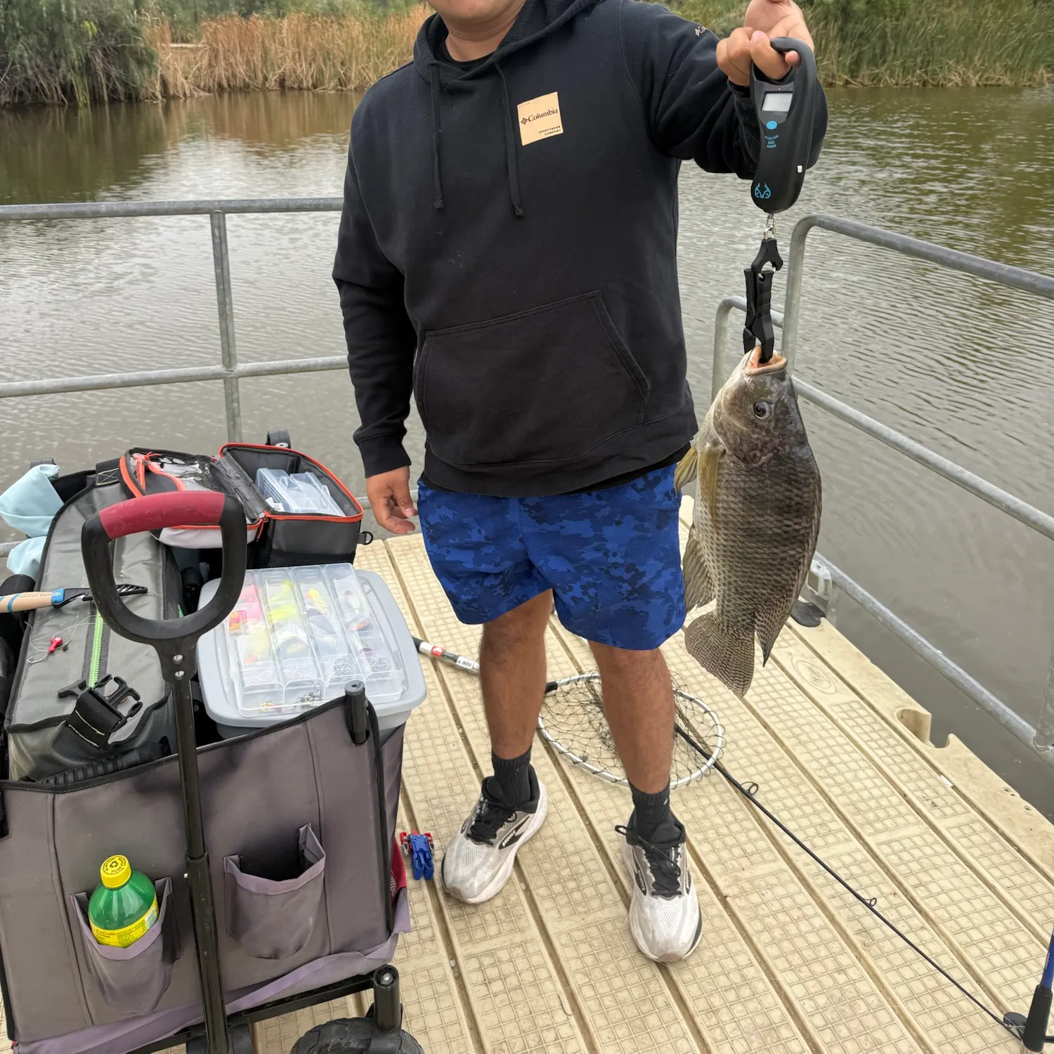 The most recent Nile tilapia catches on Fishbrain