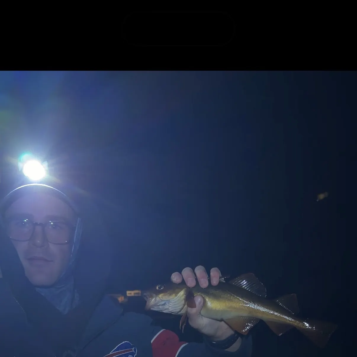 The most recent Atlantic tomcod catches on Fishbrain