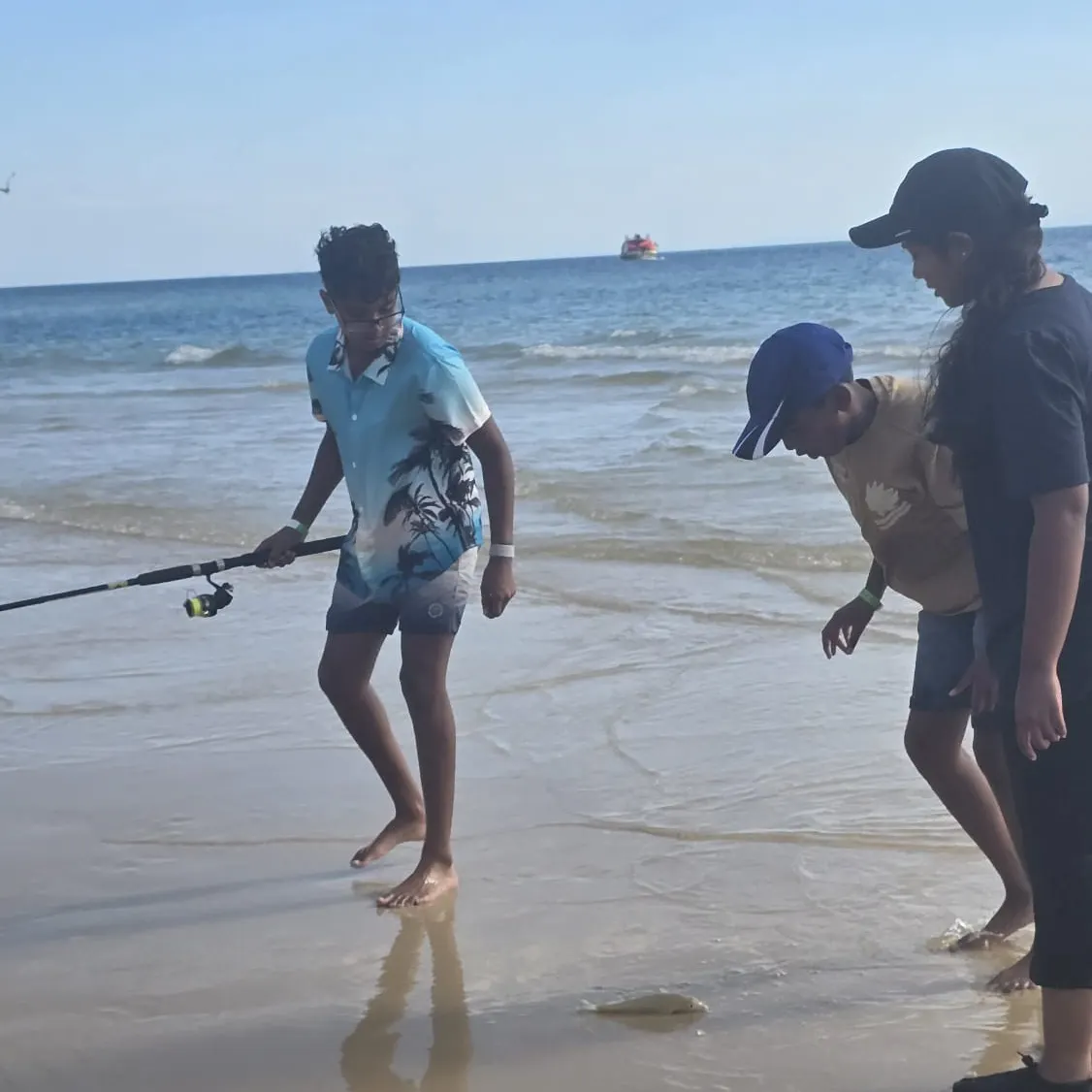 The most recent Pacific shafted bonefish catches on Fishbrain