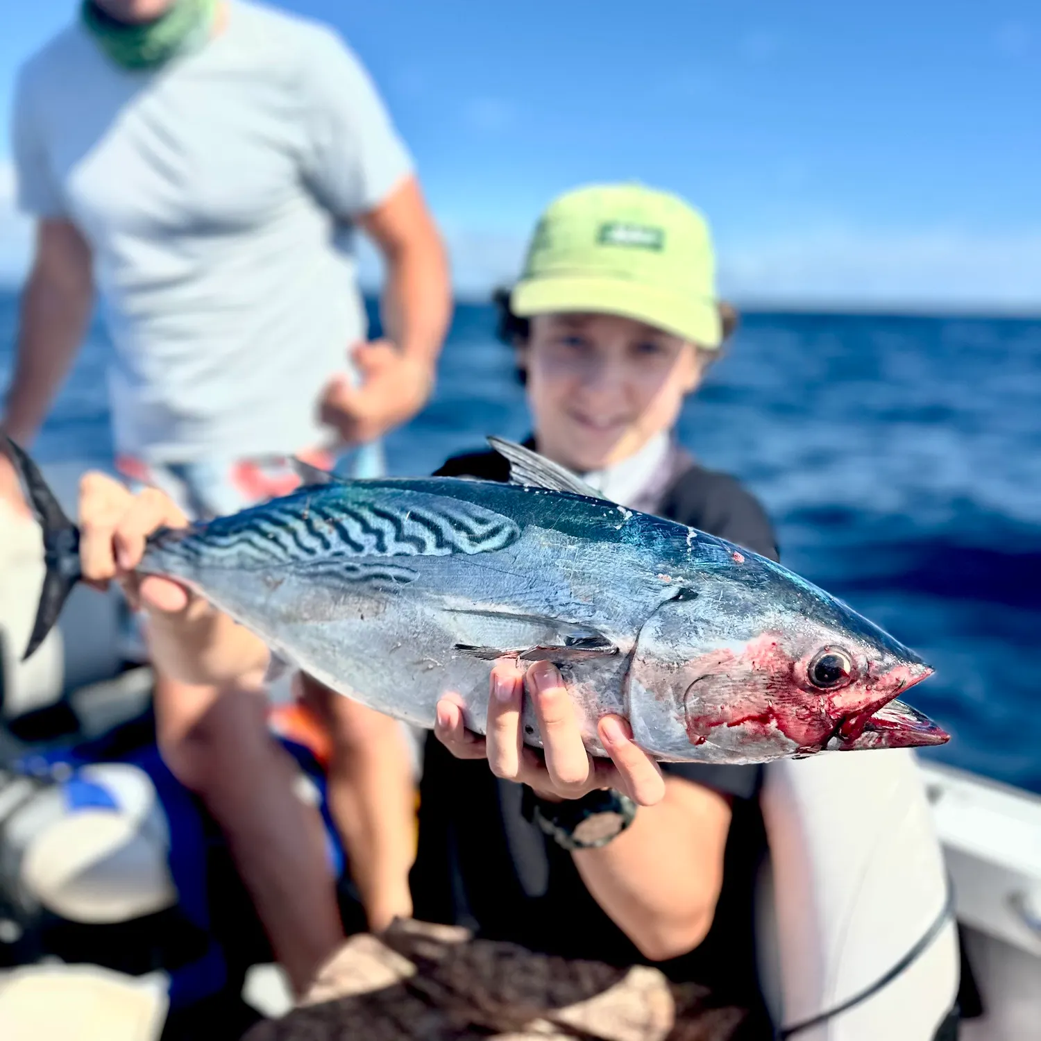 The most recent Kawakawa catches on Fishbrain