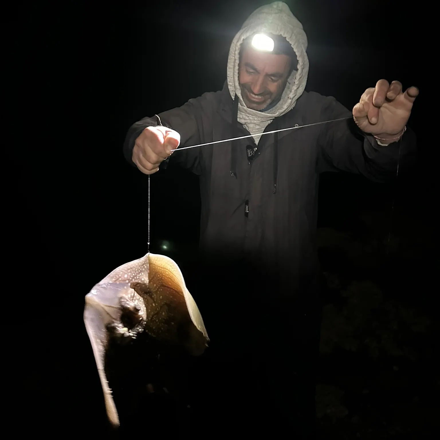 The most recent Starry ray catches on Fishbrain