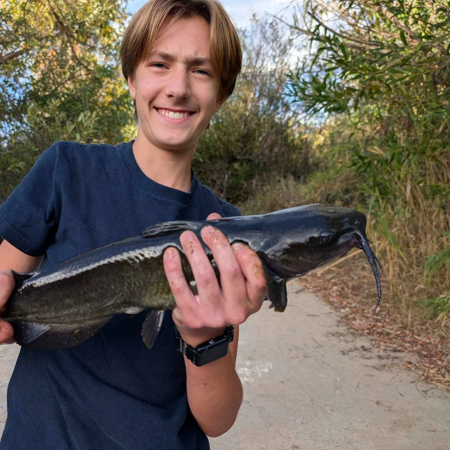 Channel catfish caught on Fishbrain