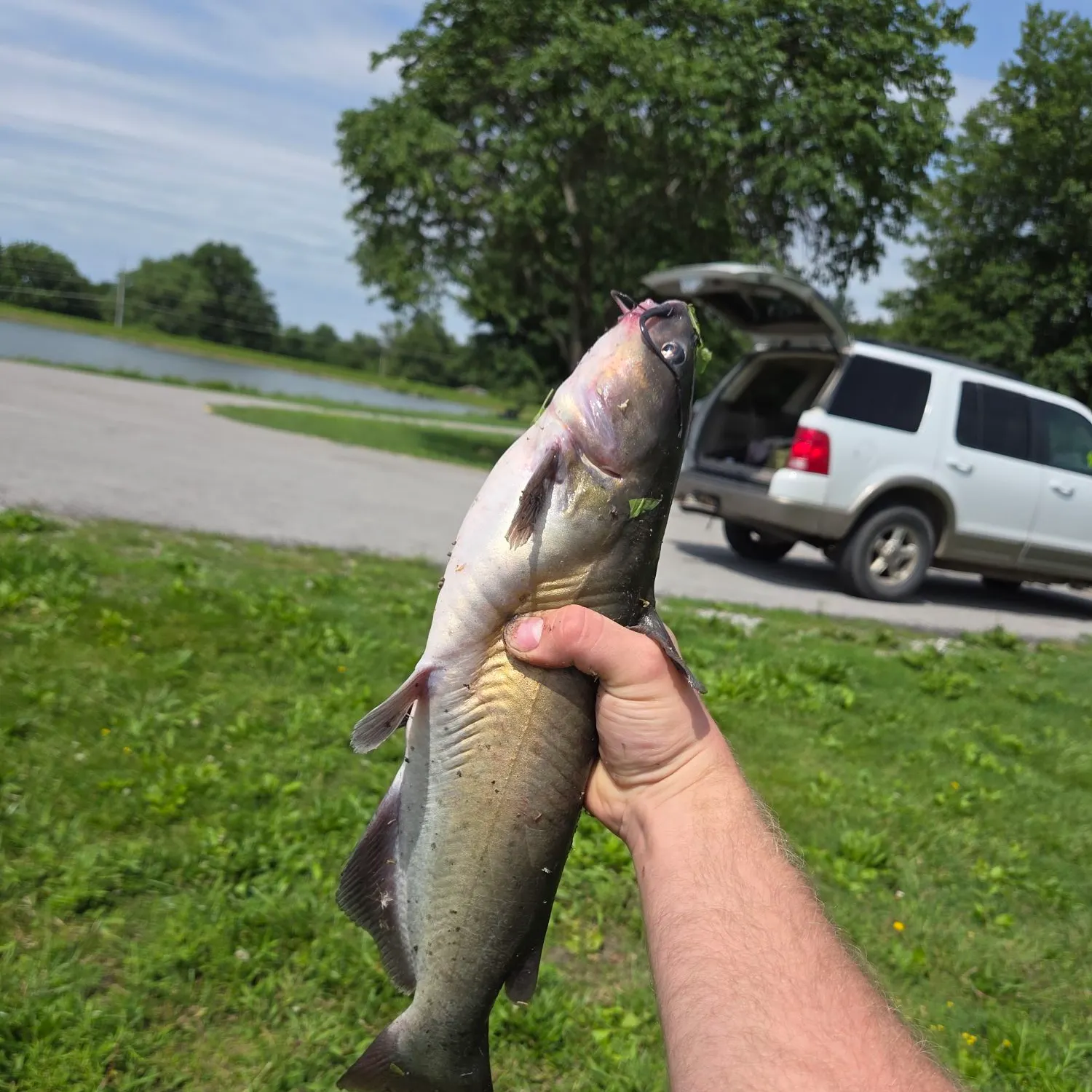 catch