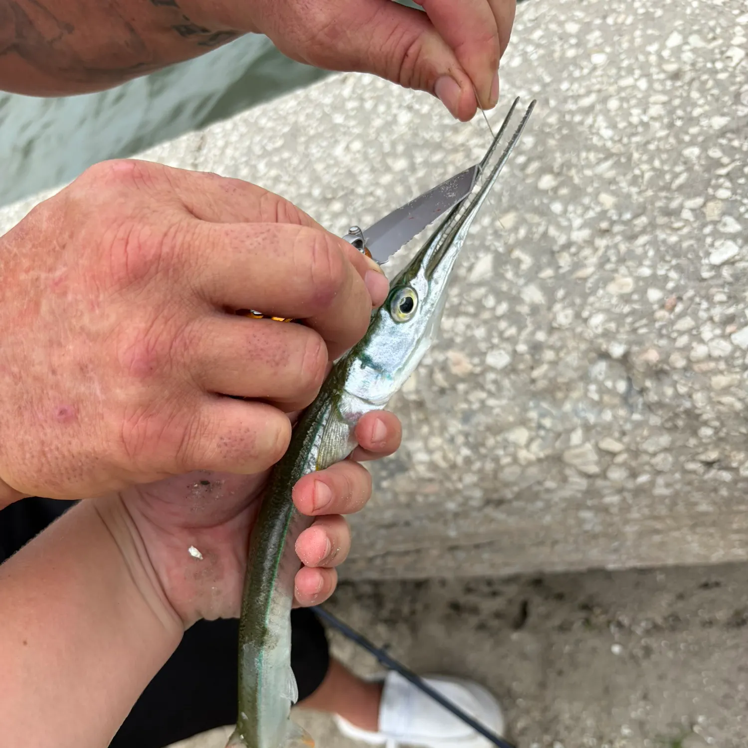 catch