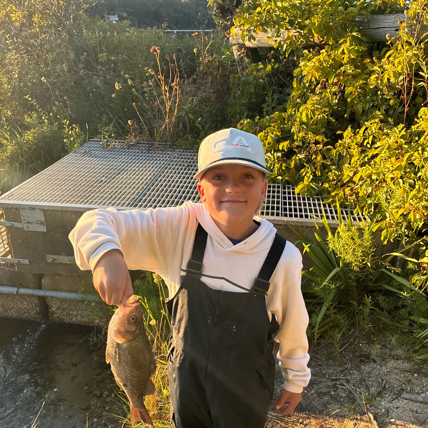White perch caught on Fishbrain