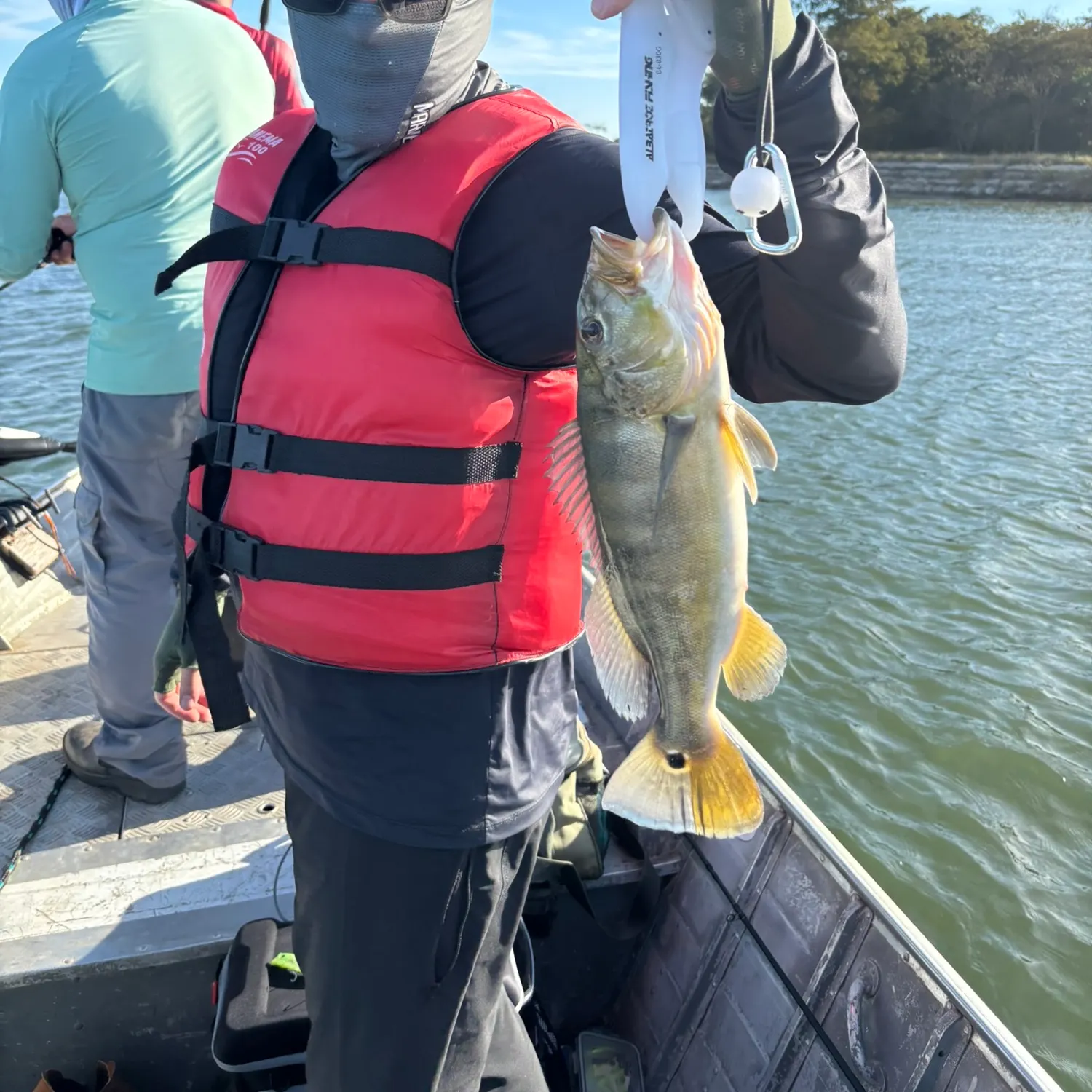 Fish caught on Fishbrain