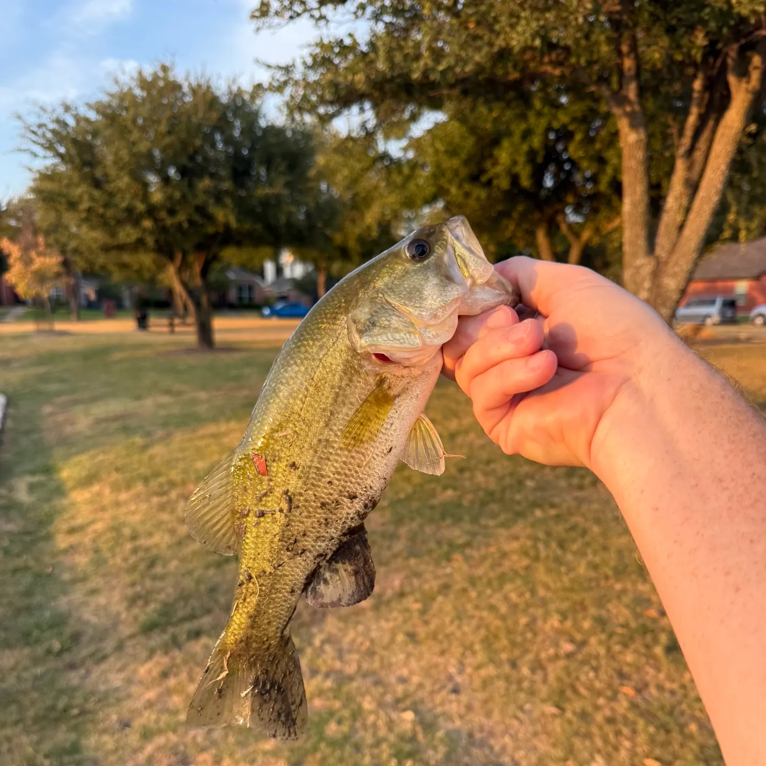 catch
