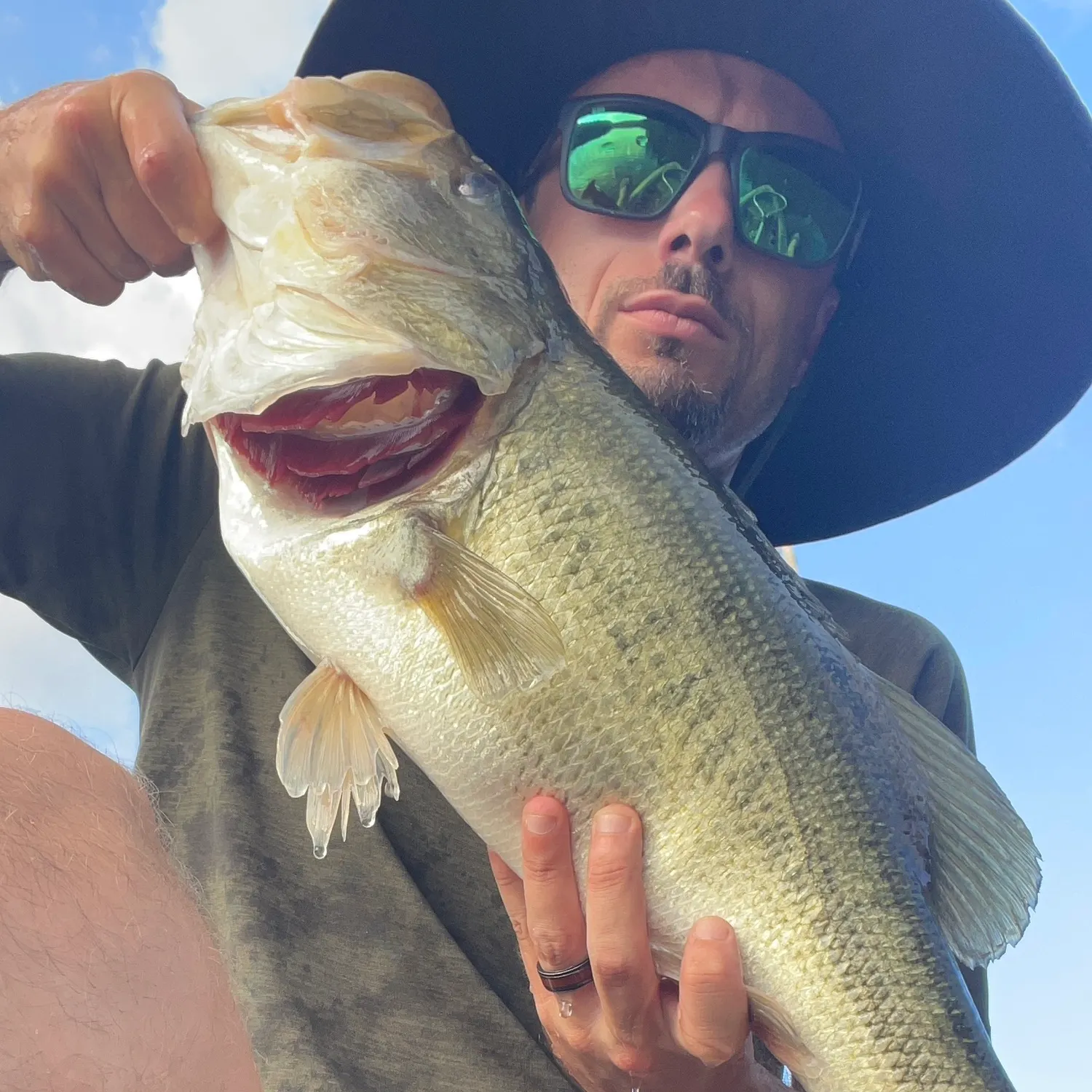 Largemouth bass caught on Fishbrain