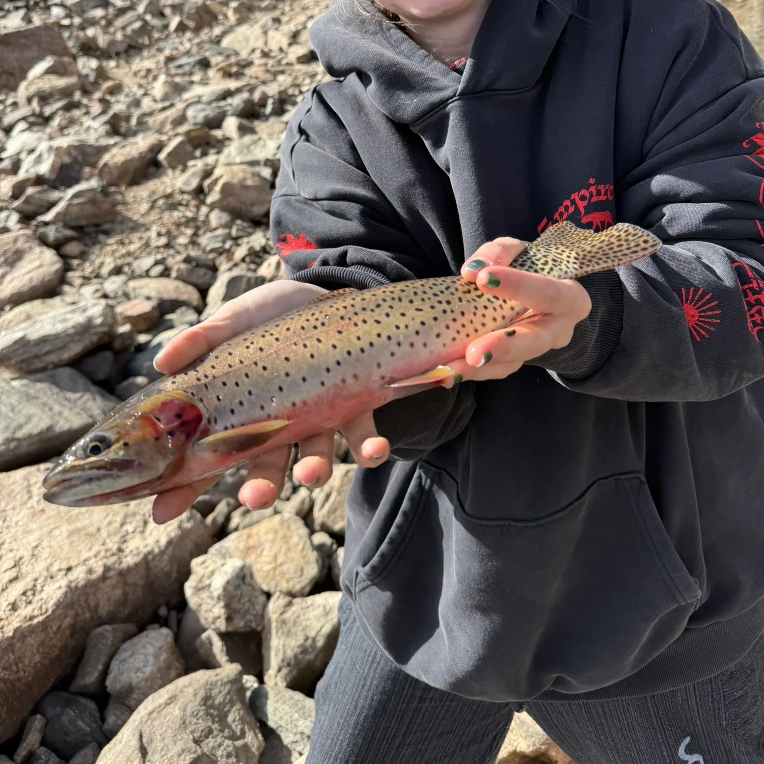Cutthroat trout caught on Fishbrain