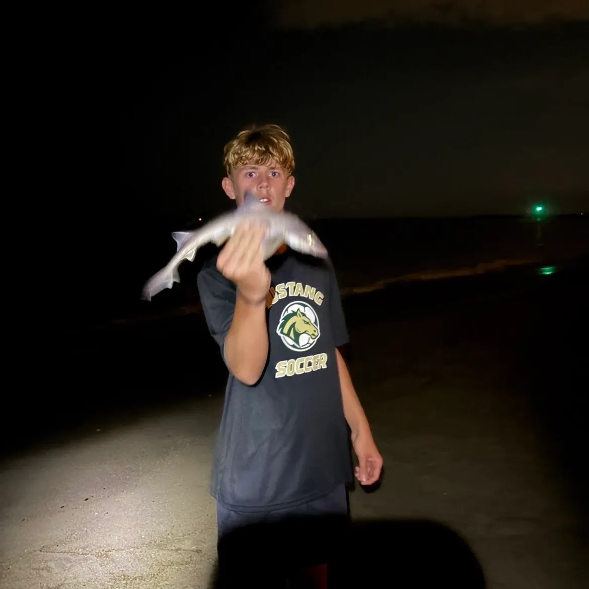 The most recent Piked dogfish catches on Fishbrain