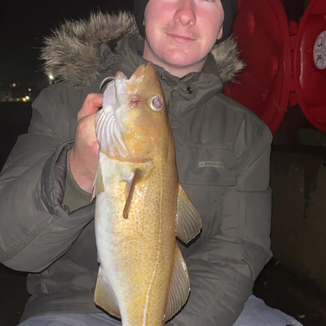 The most recent Atlantic cod catches on Fishbrain