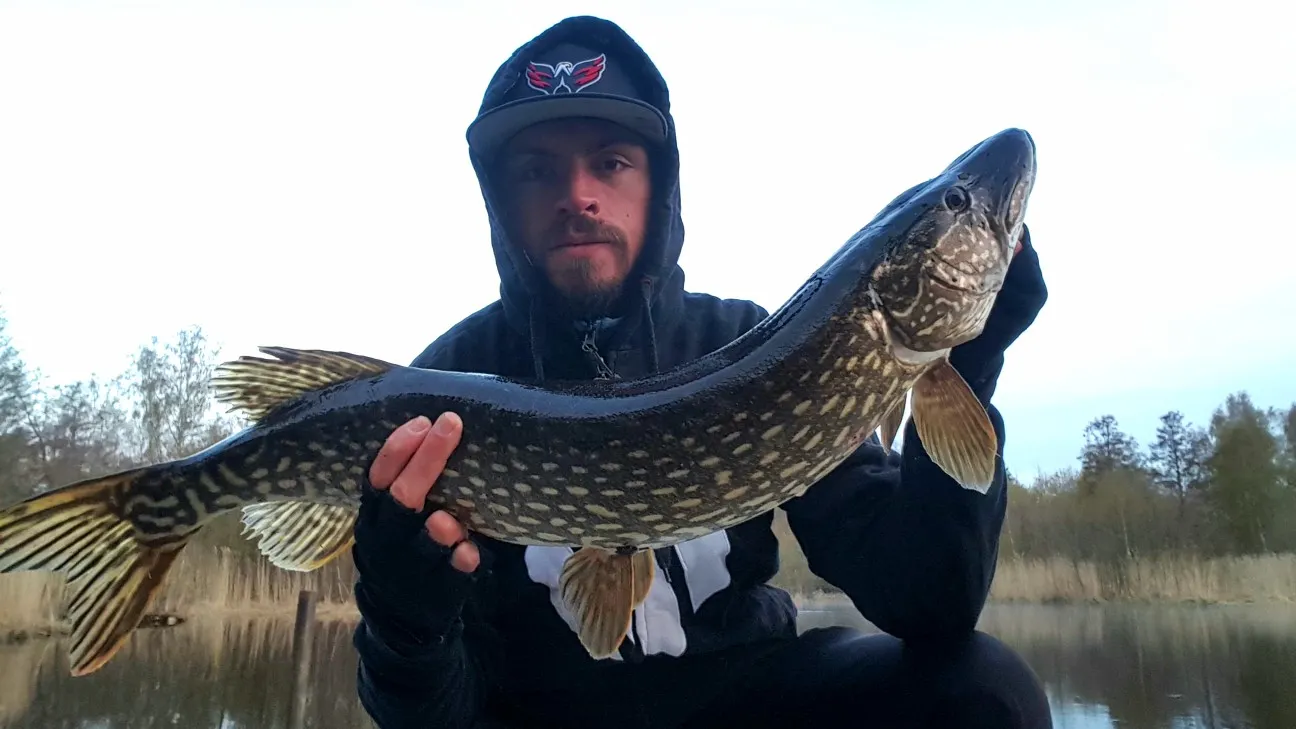 Post image from JPsson