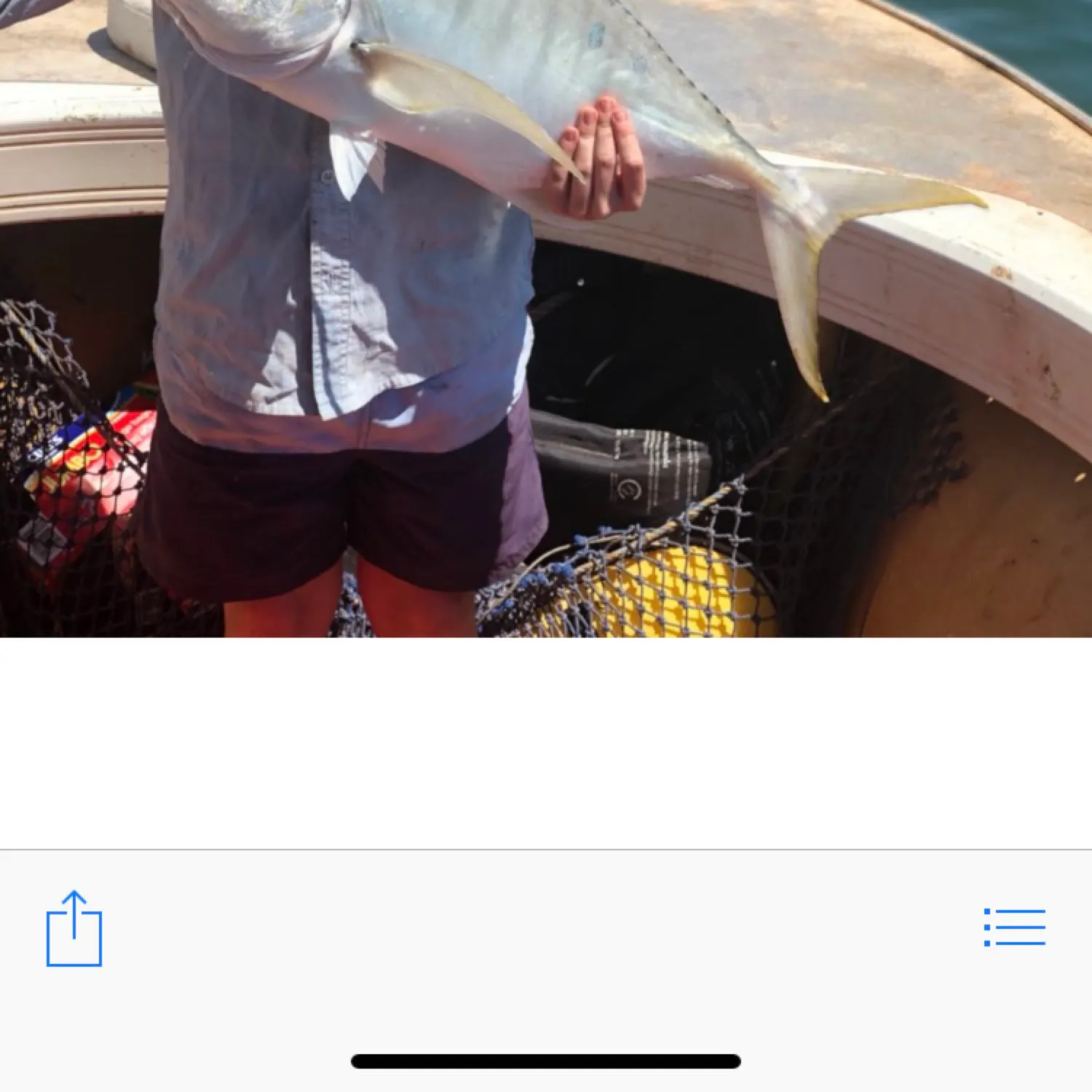 recently logged catches