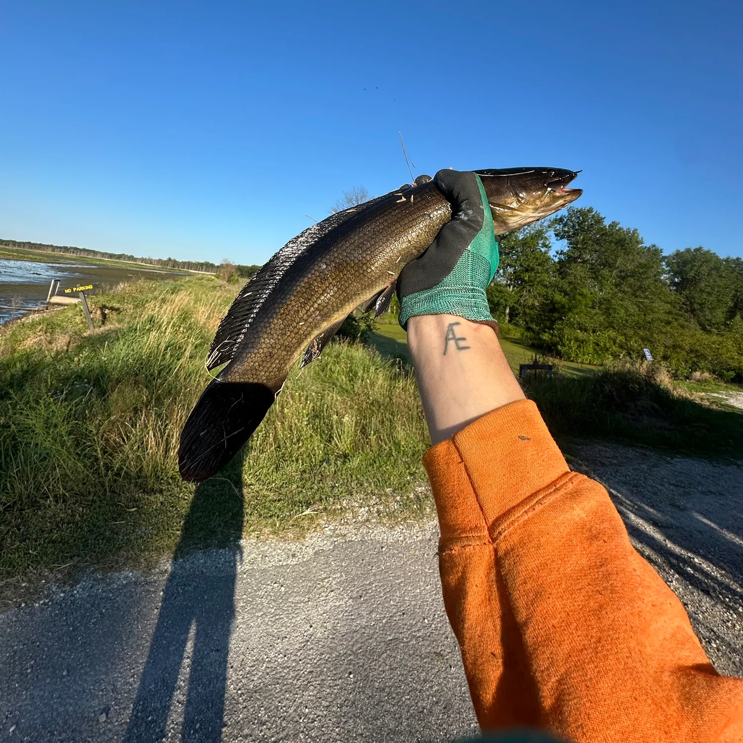 catch