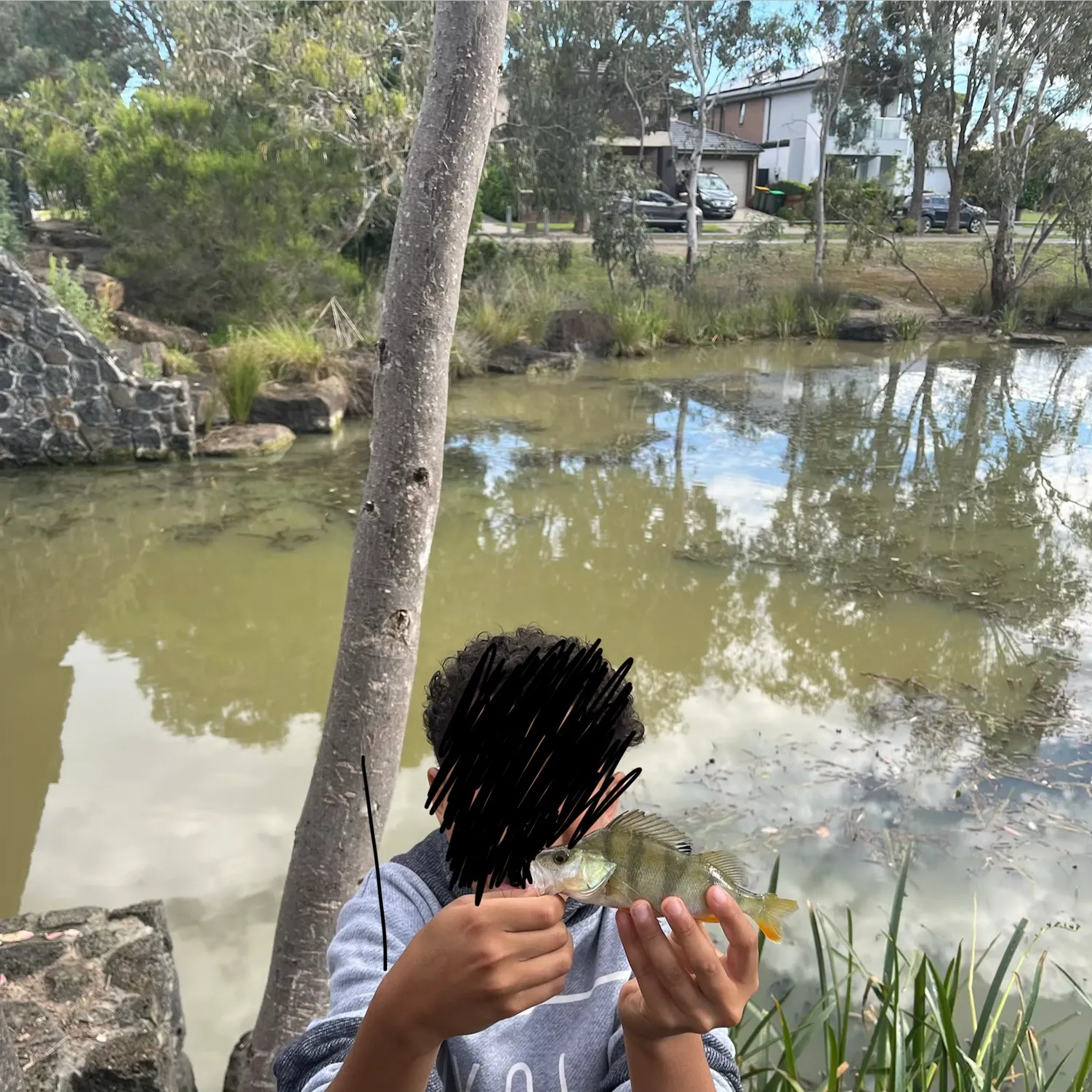 The most recent Indo-Pacific sailfish catches on Fishbrain