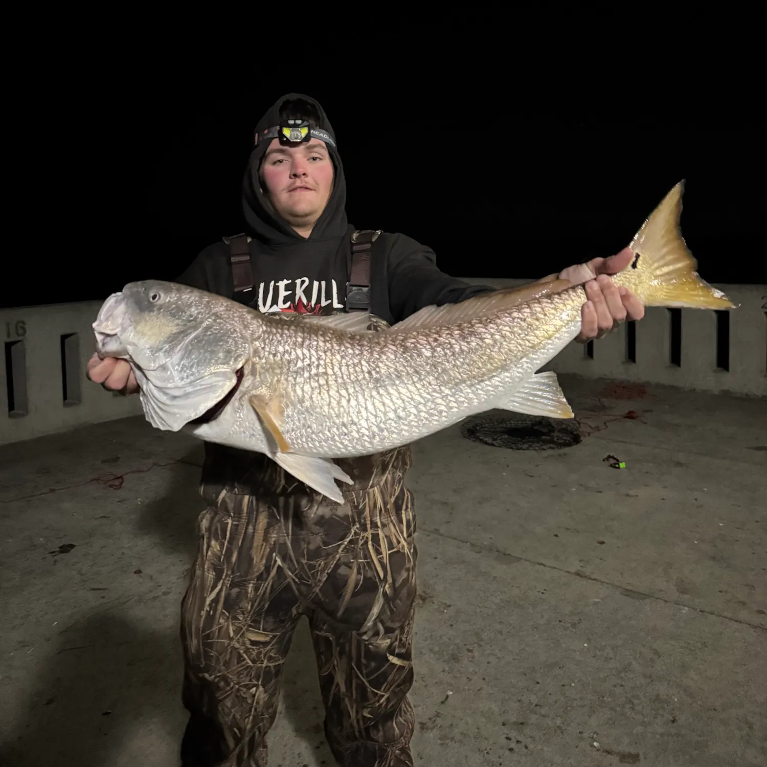 Red drum caught on Fishbrain