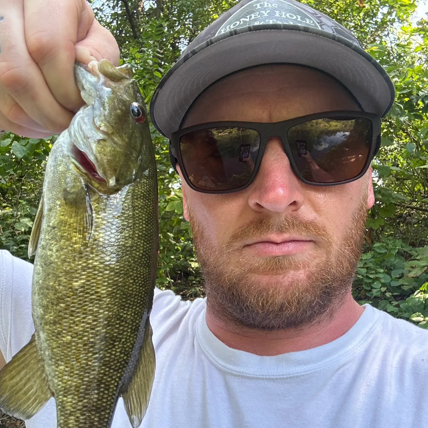 Smallmouth bass caught on Fishbrain