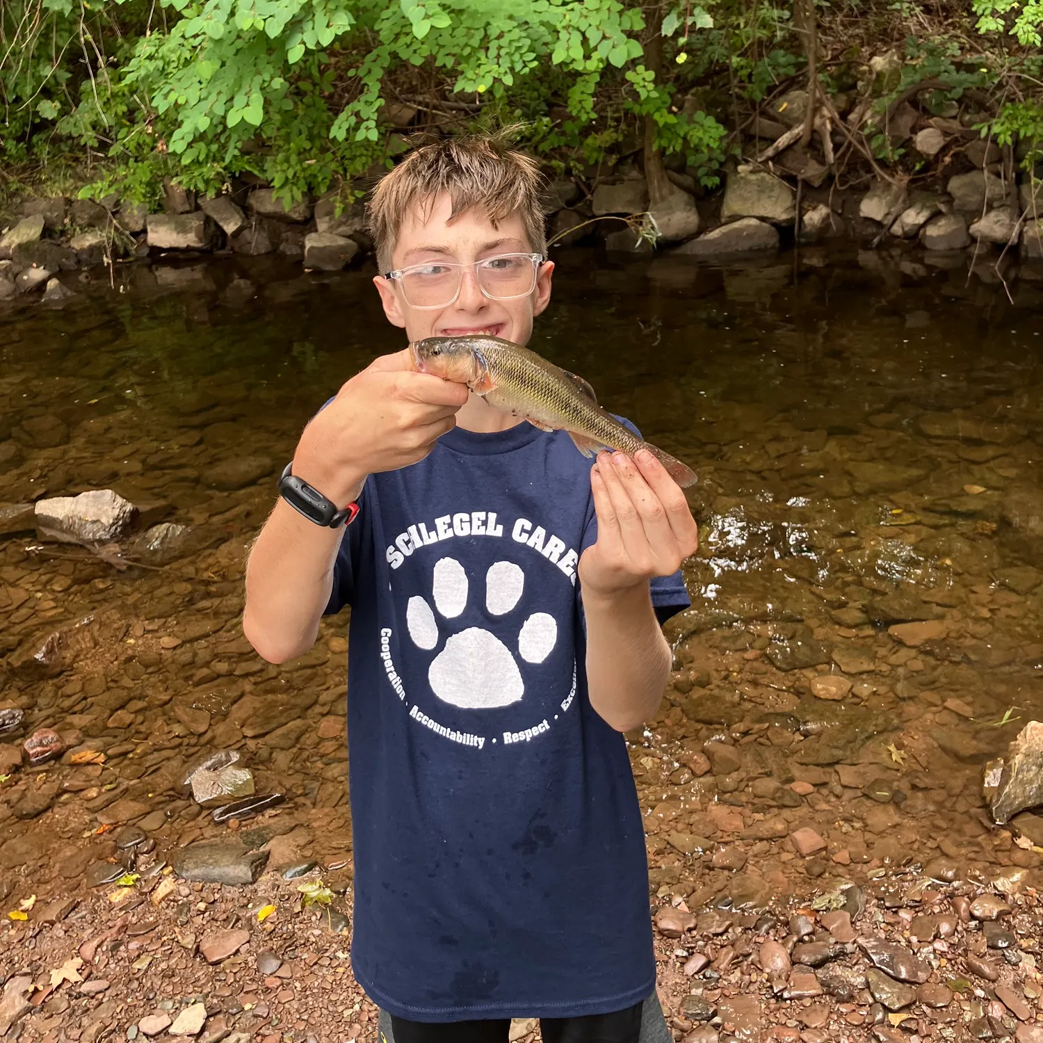 Creek chub caught on Fishbrain
