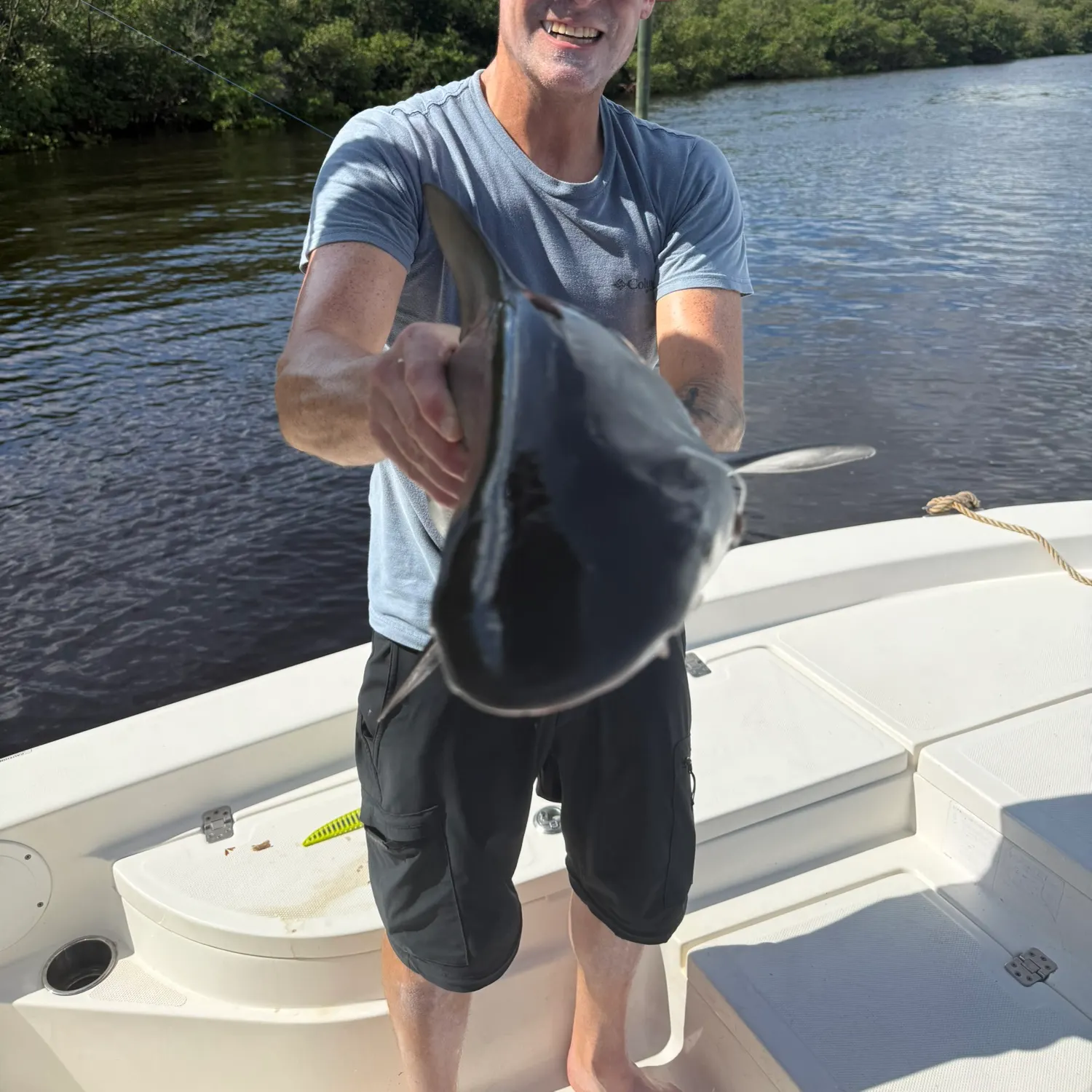 Bull shark caught on Fishbrain