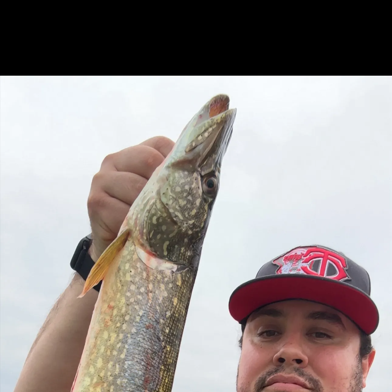 Northern pike caught on Fishbrain