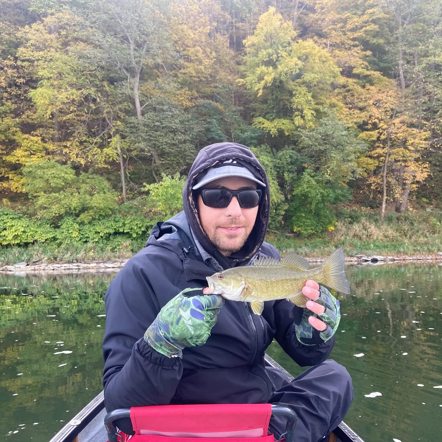Smallmouth bass caught on Fishbrain