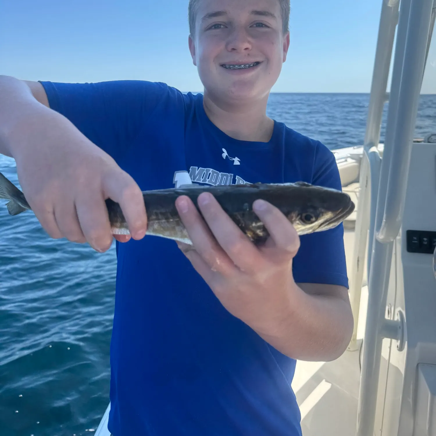 Bluefish caught on Fishbrain