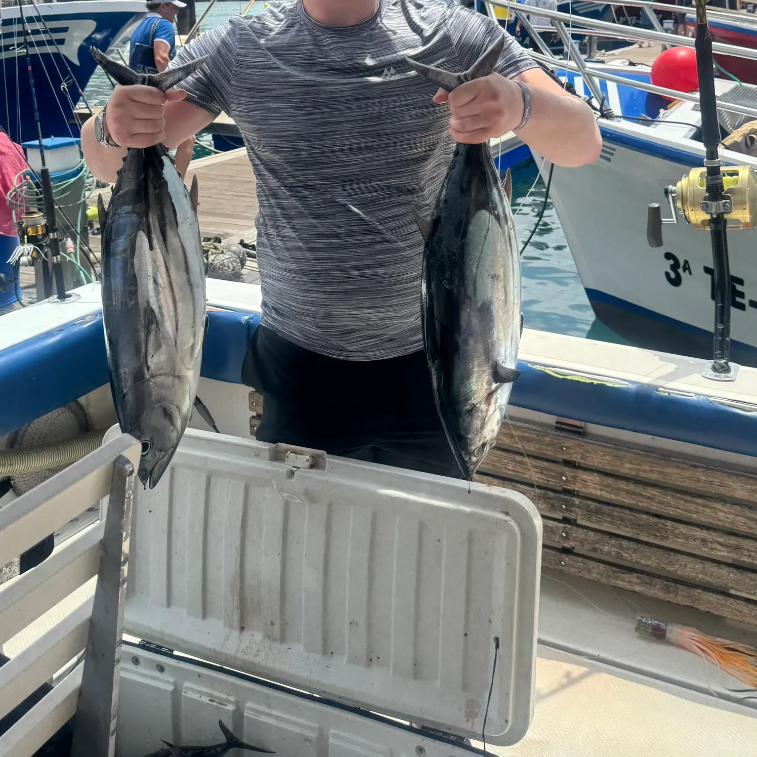 Atlantic bluefin tuna caught on Fishbrain