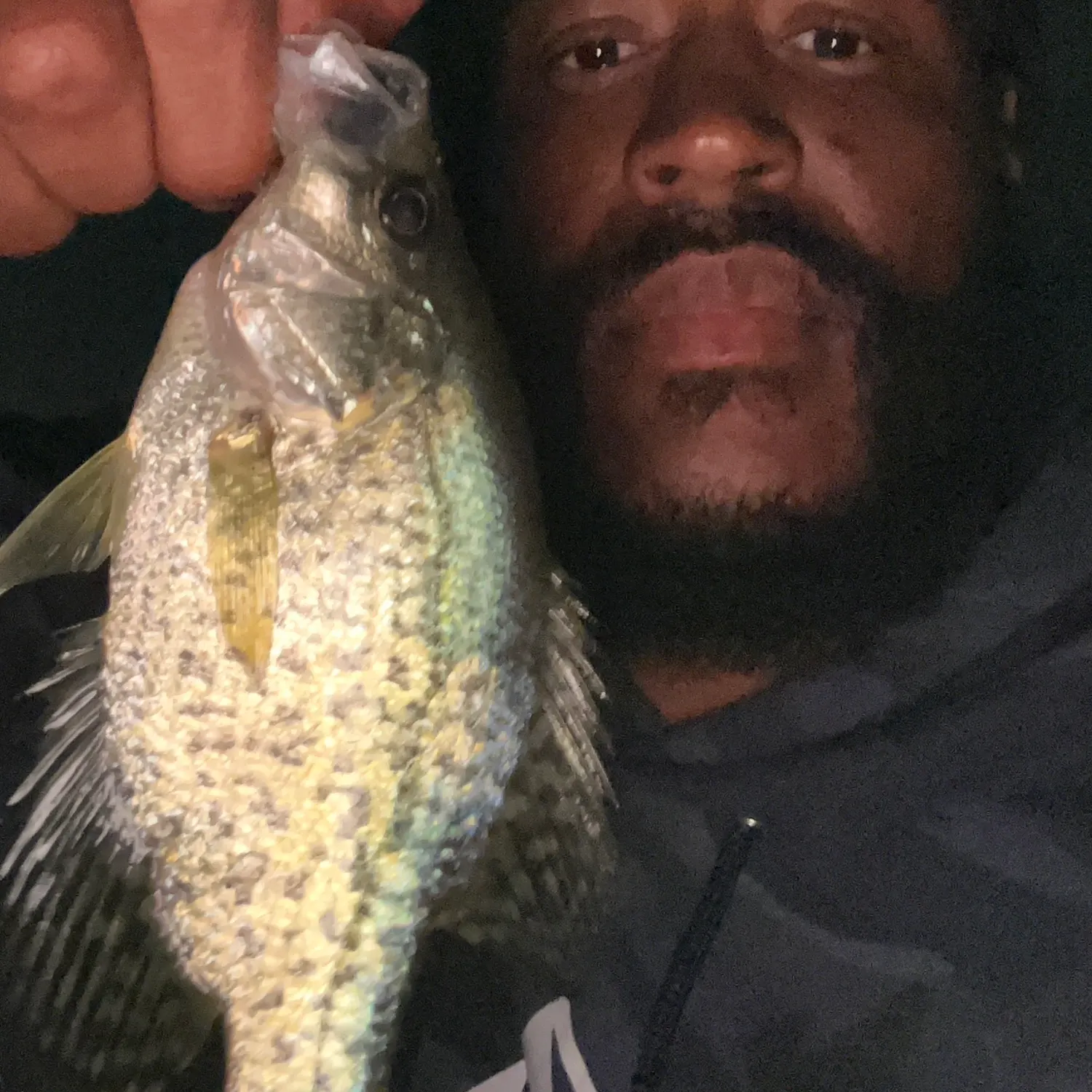 Black crappie caught on Fishbrain
