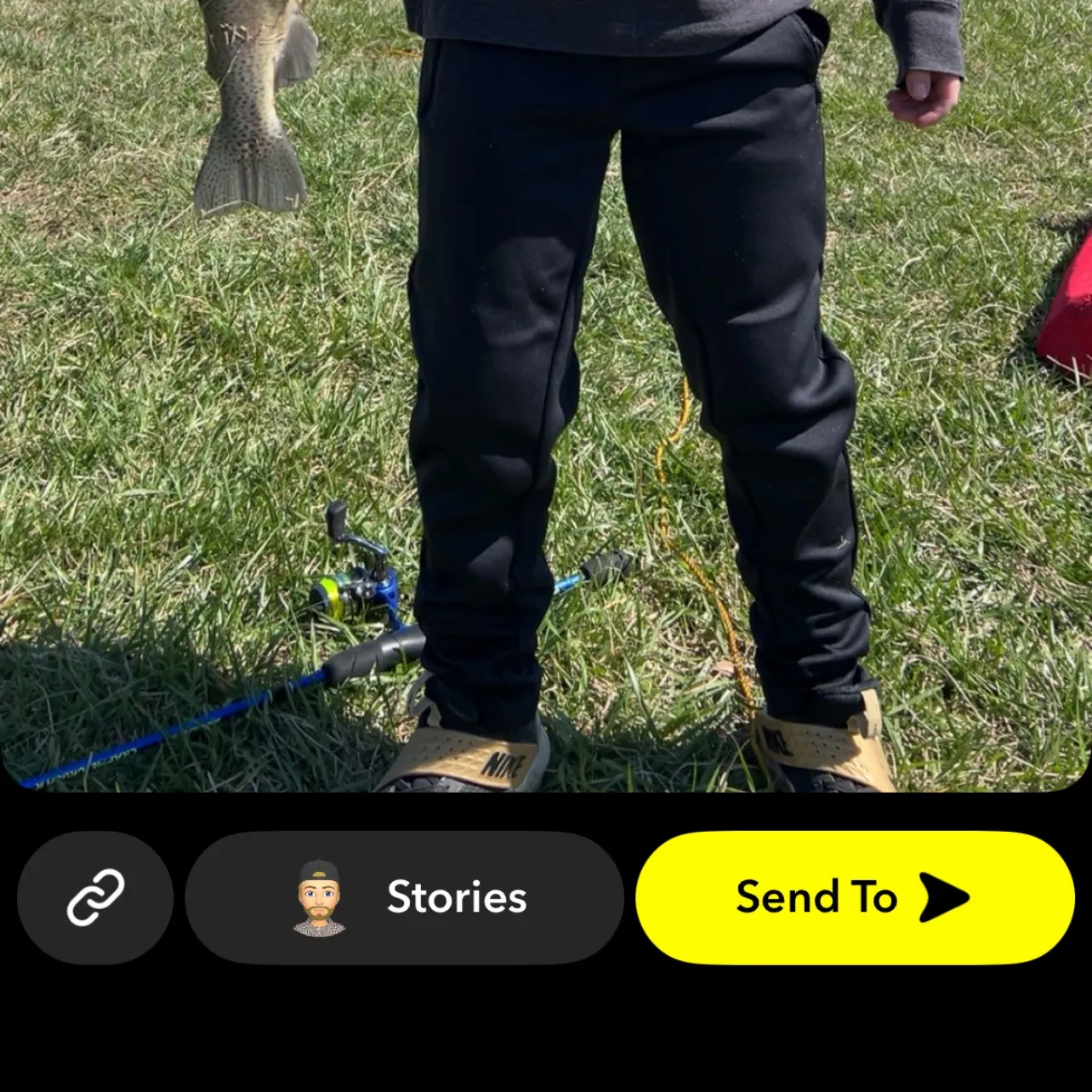 Rainbow trout caught on Fishbrain