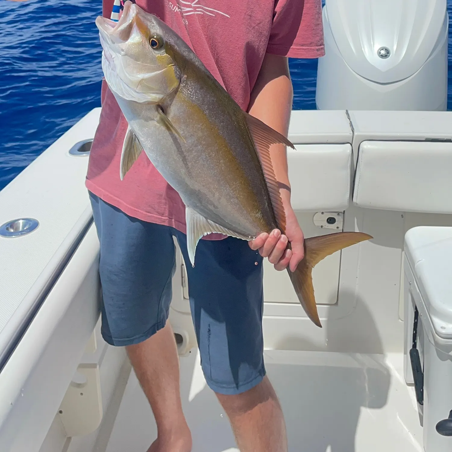 Greater amberjack caught on Fishbrain