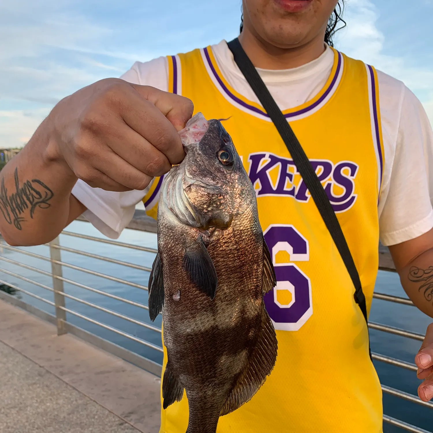 The most recent White croaker catches on Fishbrain